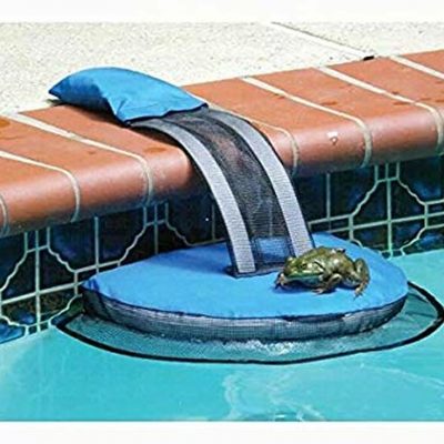 Frog log (Critter escape ramp) - Total Tech Pools Oakville