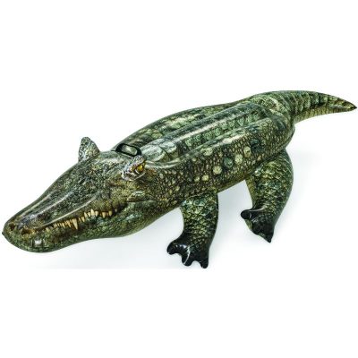Realistic Reptile Ride-On - Total Tech Pools Oakville